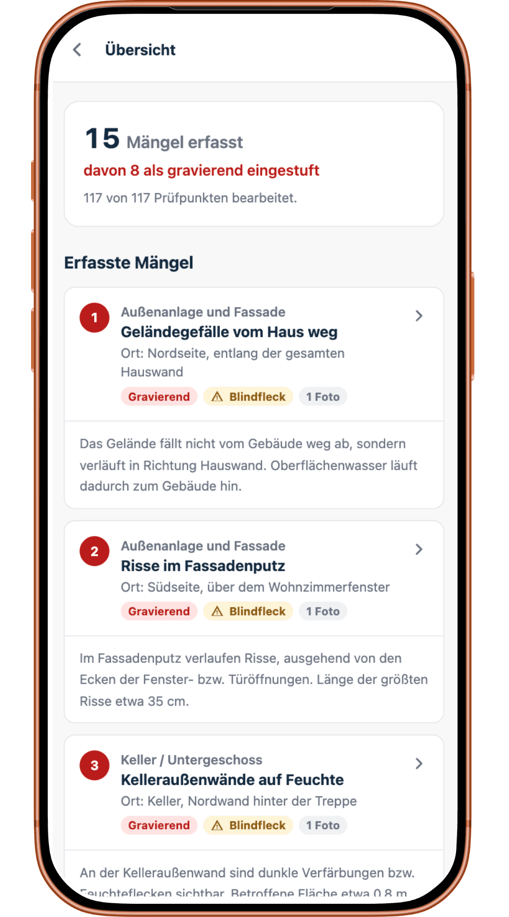 Der Abnahmehelfer auf dem Handy, geöffnet bei einem Prüfpunkt.